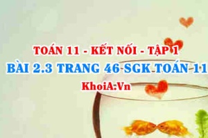 Bài 2.3 trang 46 SGK Toán 11 tập 1 Kết nối tri thức